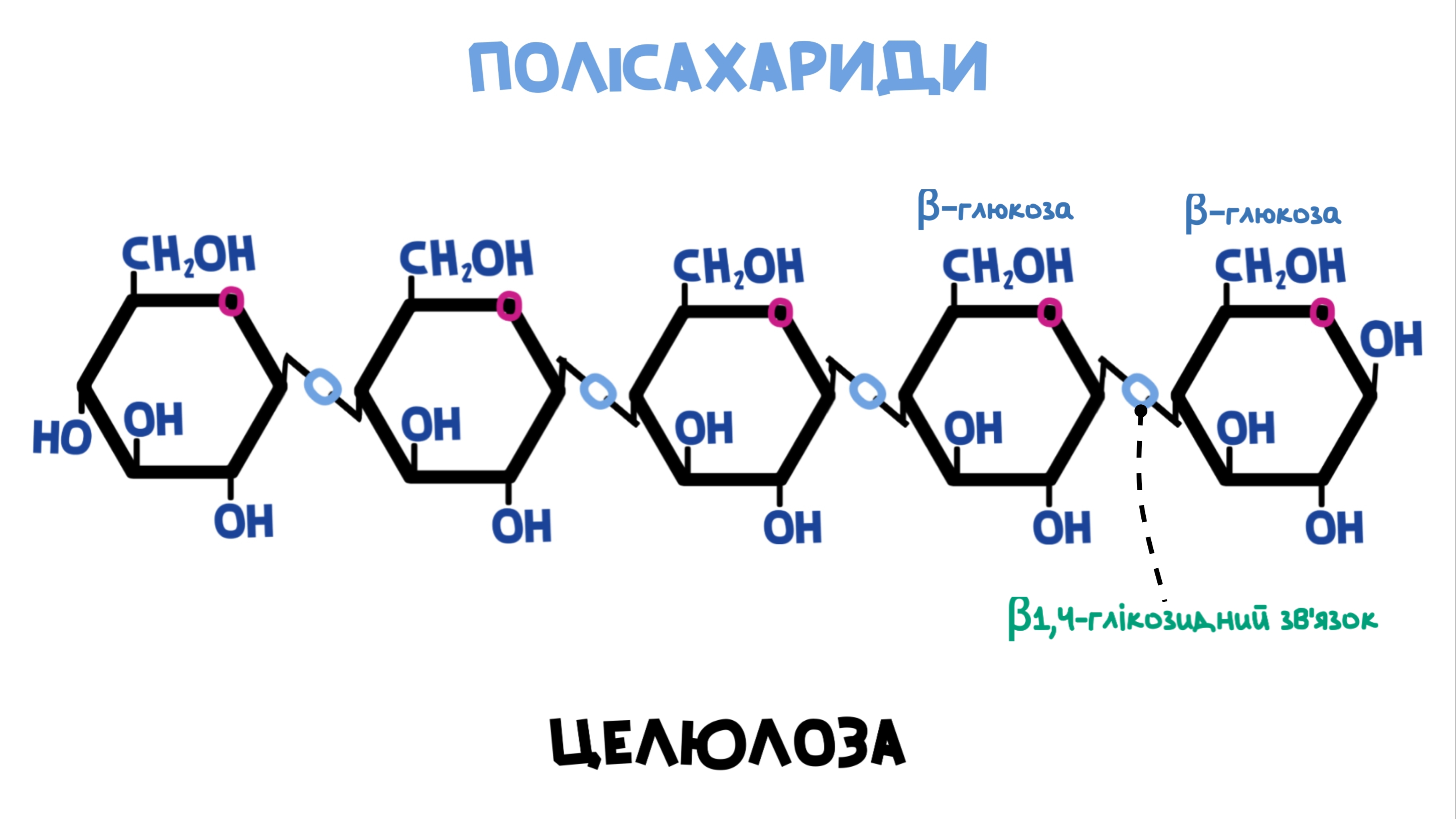структурна формула целюлози